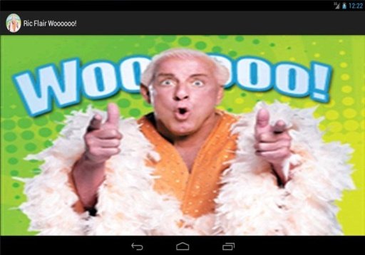 WWE: Ric Flair Woo!截图1