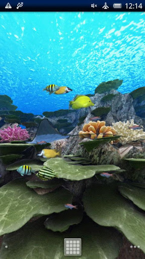 Coral Reef of Kerama Trial截图2