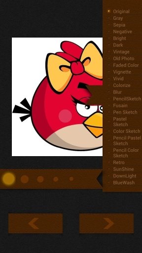 Draw Color Angry Birds截图4