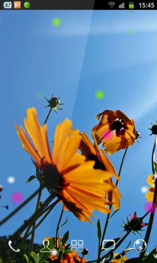 Blue Sky n Flowers LWP截图6