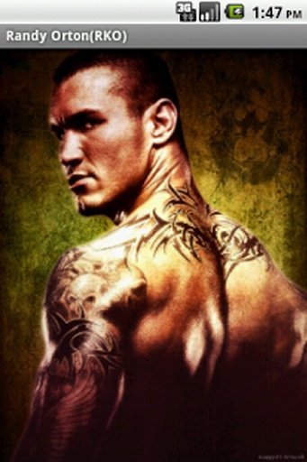 Randy Orton(RKO)截图2