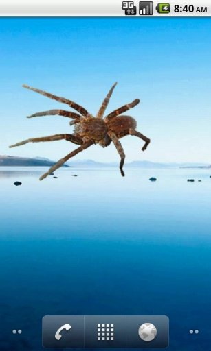 蜘蛛贴纸 Spider Tarantula Sticker截图1