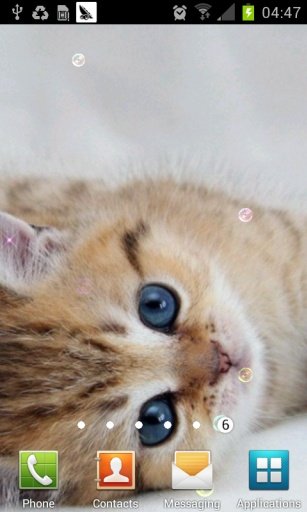 Dream Cat Live Wallpaper截图2