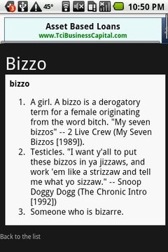 Rap Dictionary截图