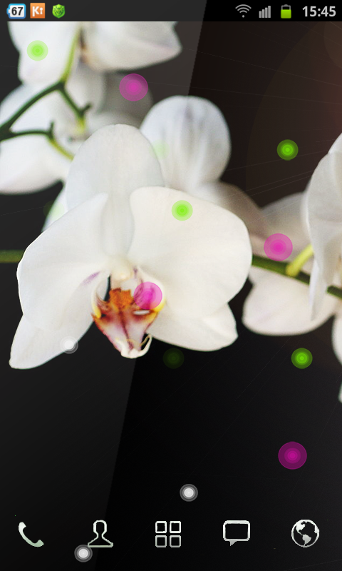 Free Wallpaper Orchid截图1