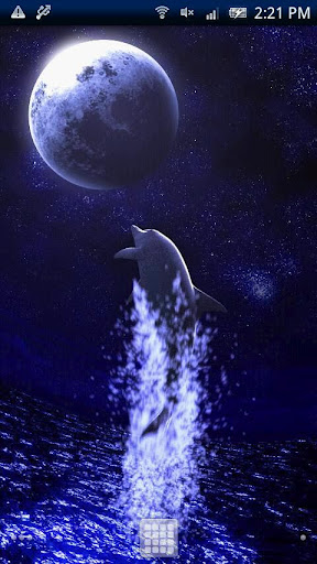 Dolphin Moon Trial截图2