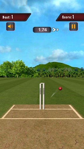 Flick Cricket 3D截图4