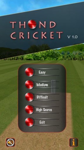 Flick Cricket 3D截图5