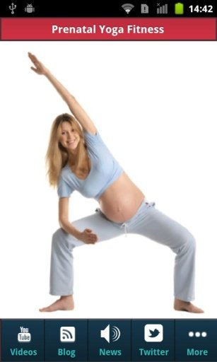 Prenatal Yoga截图3