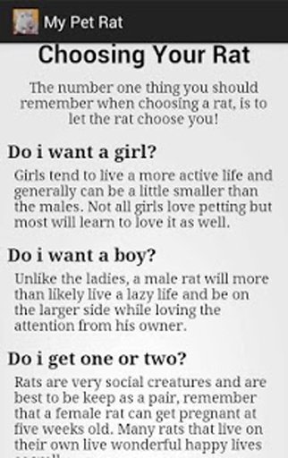 My Pet Rat - LITE截图8