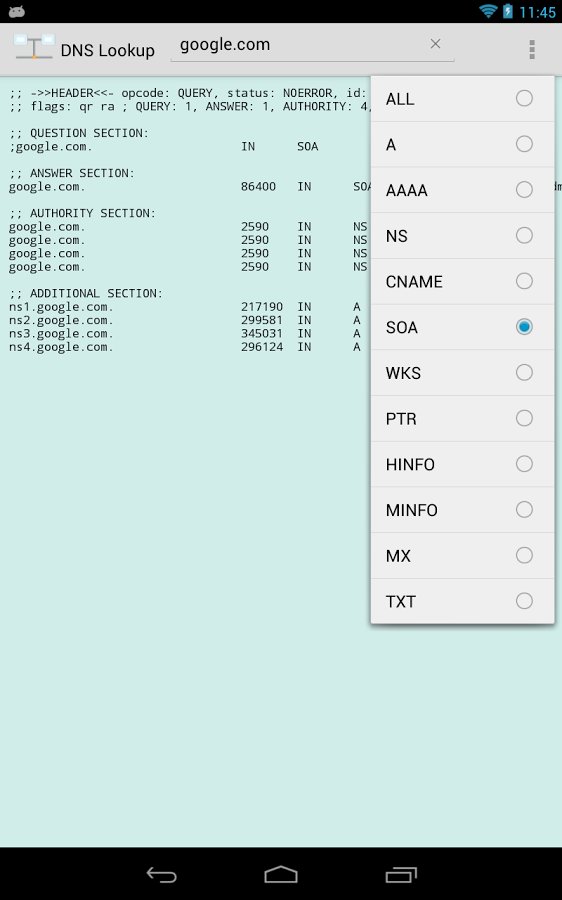 DNS Lookup截图1