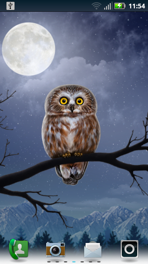 Owl Landscape截图5