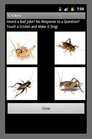 Bad Joke Crickets Sound截图1