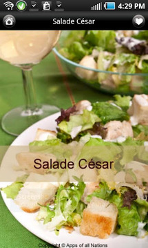iCuisine Salades Lite截图