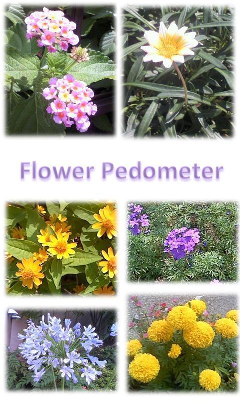 Flower Pedometer截图4