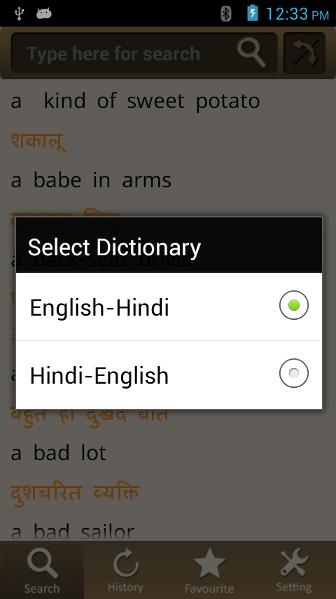 Hindi Dictionary截图7