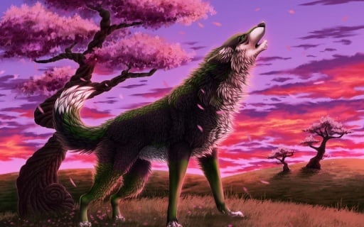 3D Wolf Wallpapers截图1