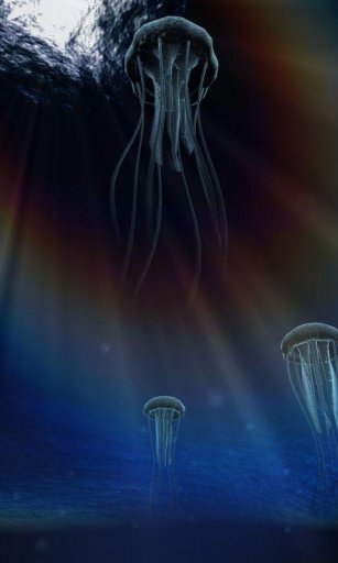 Jellyfish 3D LiveWallpaper截图5