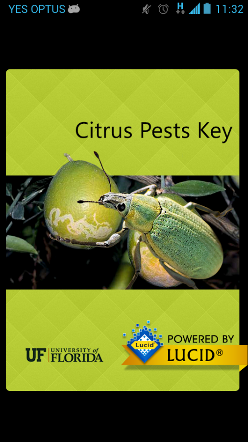 Citrus Pests Key截图1