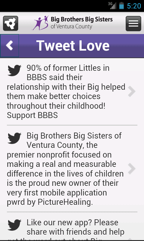 Big Brothers Big Sisters of VC截图11