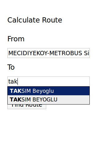 Istanbul Bus截图2