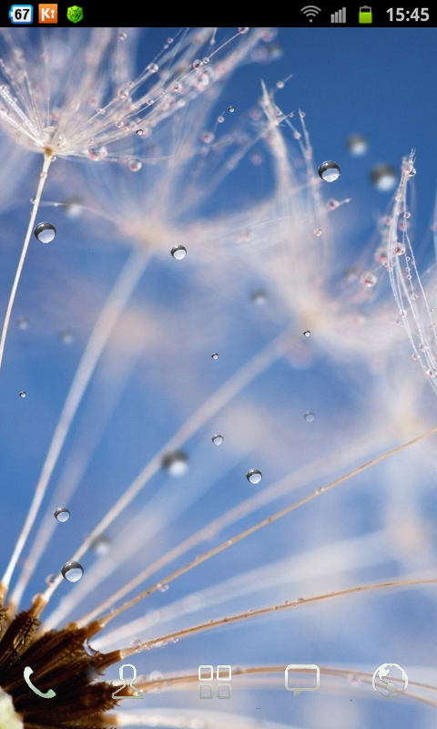 Dandelion Flower n Drops...截图1