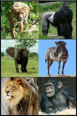 Zoo Animal S...截图1