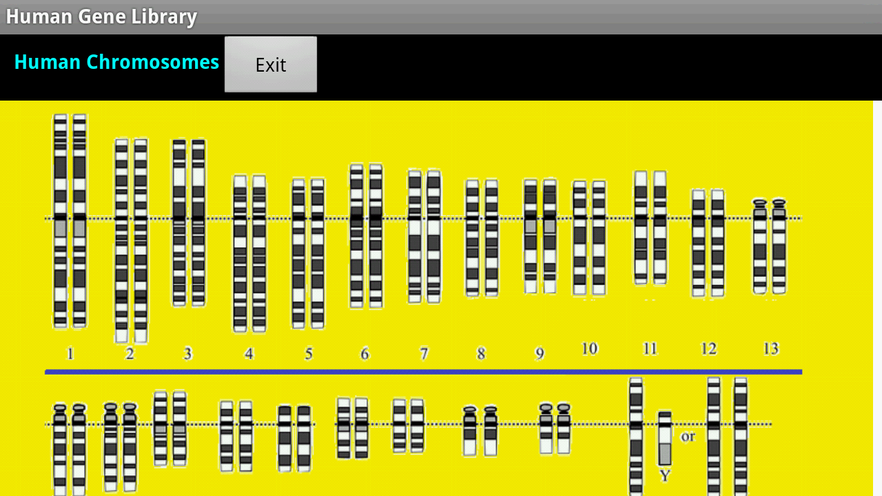 Human Gene Library截图4