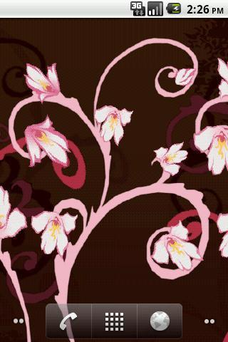 Cherry Blossoms Wallpaper截图1