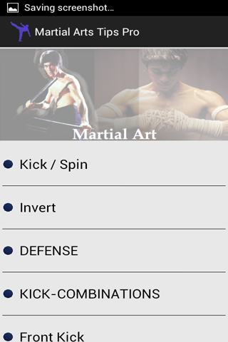 Martial Art截图2