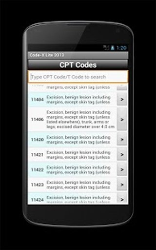 Code-X Lite 2013截图2