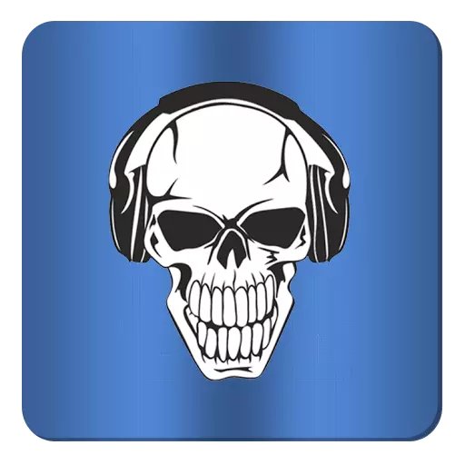 Best MP3 Skull Downloade...截图2