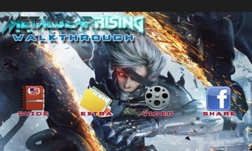 Metal Gear Rising Revengeance截图9