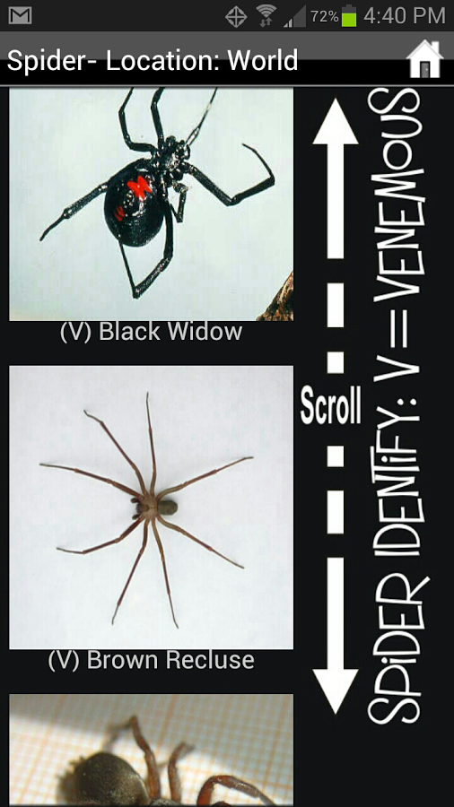Identify Spider截图3