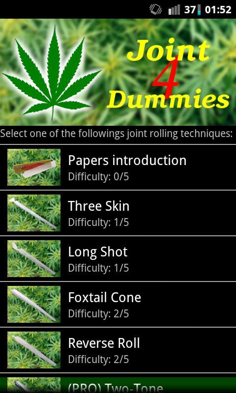 Joint 4 Dummies截图1