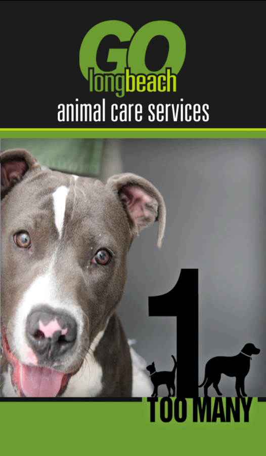 Long Beach Animal Care S...截图2