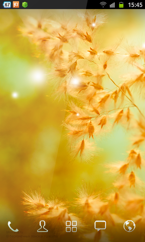 Soft Nature Wallpaper St...截图2