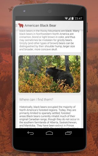 Mammals of North America Free截图4