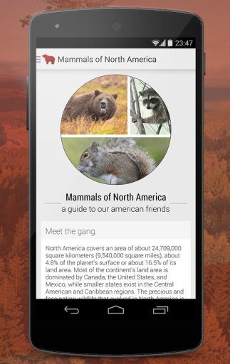 Mammals of North America Free截图8