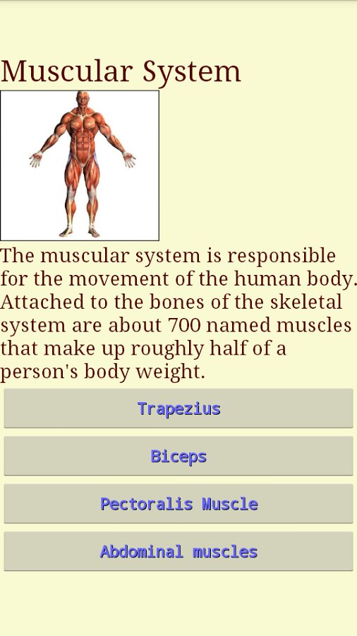Human Body - Anatomy截图4