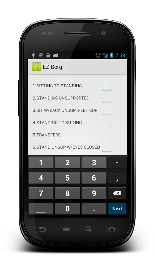 Berg Balance Scale Lite截图1