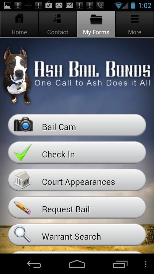 Ash Bail Bonds截图3