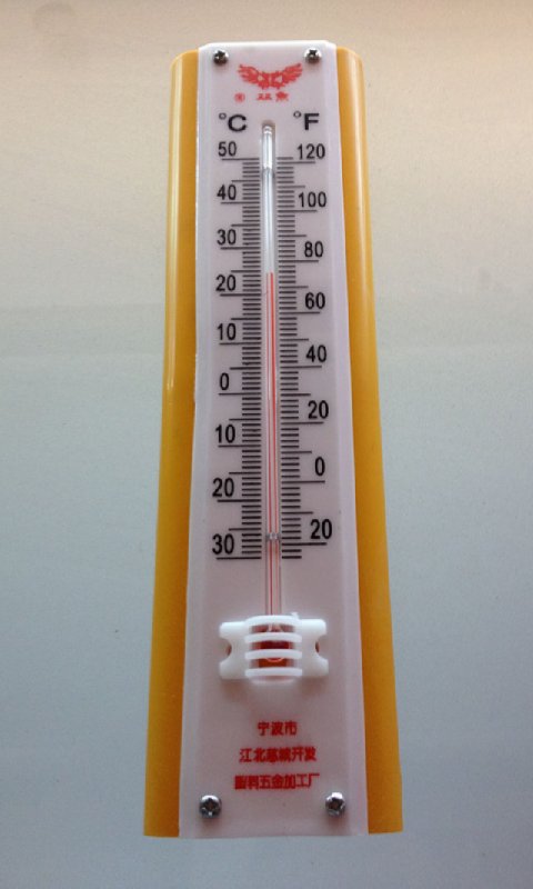 Thermometer or scale Liv...截图4