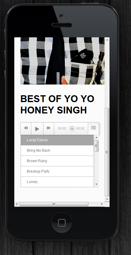 Best Of Yo Yo Honey Sing...截图2