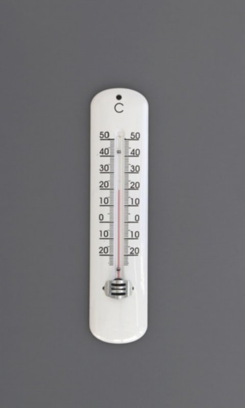 Thermometer or scale Liv...截图2