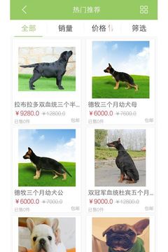 纯种犬截图