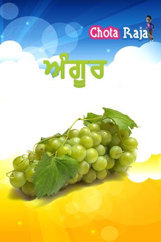 Fruits in Punjabi on Tab截图2