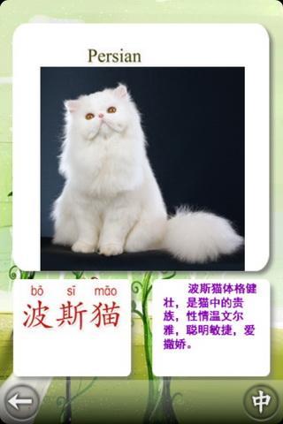 宝宝识猫截图3