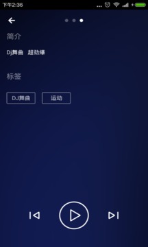 DJ舞曲截图