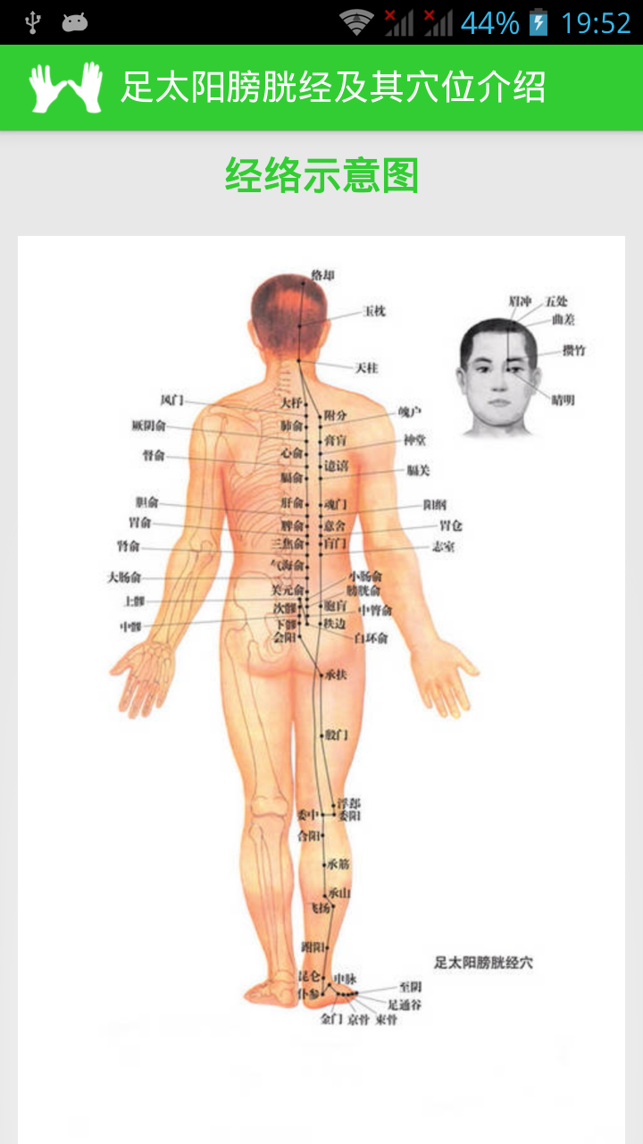 经络穴位按摩手册截图2